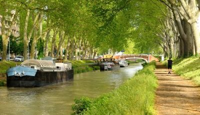 Festa della Cuccagna a Saint-Félix-Lauragais: una tradizione da scoprire nei dintorni di Tolosa