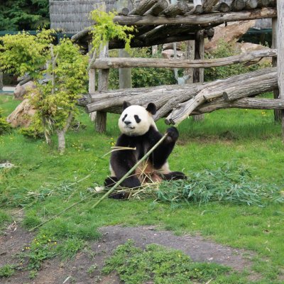 Appart’hotel vicino allo ZooParc de Beauval